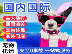九寨黄龙航空托运国际宠物托运 【国